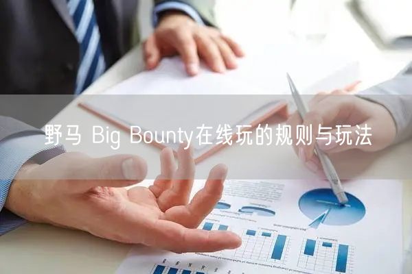 野马 Big Bounty在线玩的规则与玩法